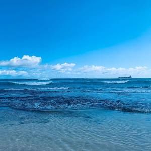 Meet your Posher, Cora